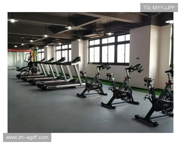 高端健身器材品牌推荐，助你打造完美身材与健康生活