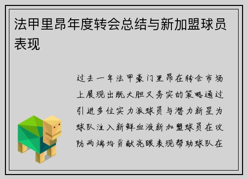 法甲里昂年度转会总结与新加盟球员表现